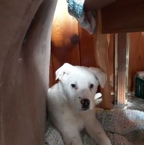 Meet your Posher, Stormy